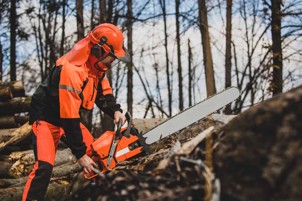 Echo cs 310 chainsaw safety use